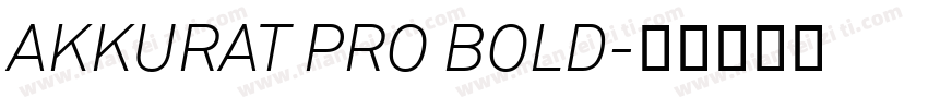AKKURAT PRO BOLD字体转换